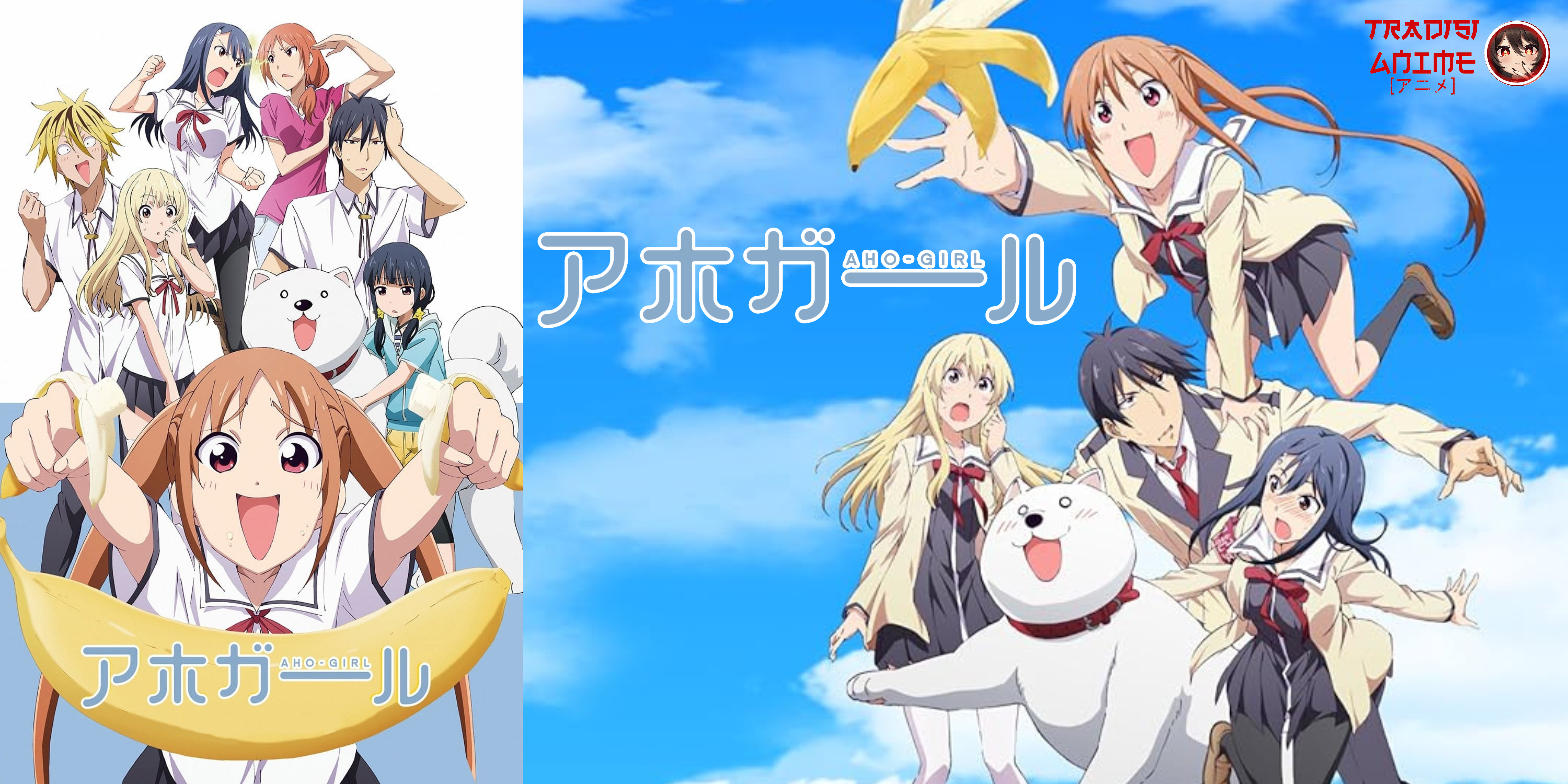 Anime Komedi Terlucu Aho Girl